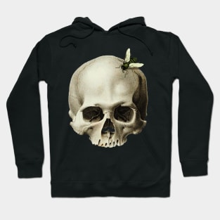 Skull with a fly around Hoodie